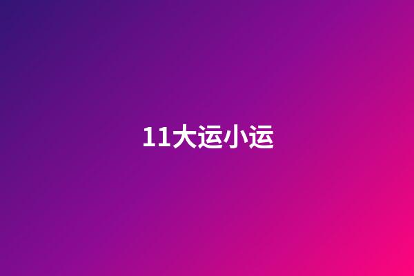 11大运小运