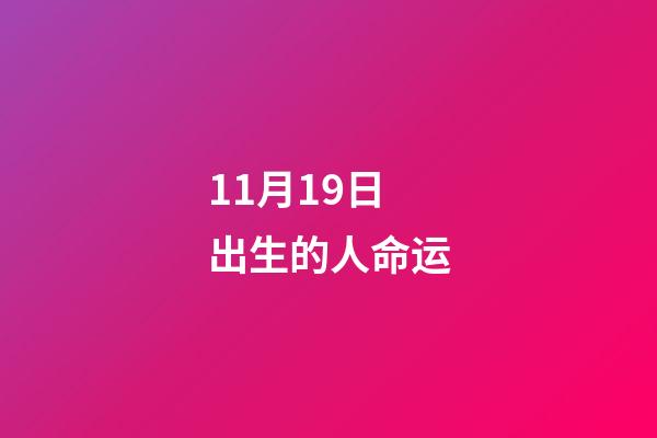 11月19日出生的人命运(关于养猫的知识点)-第1张-观点-玄机派