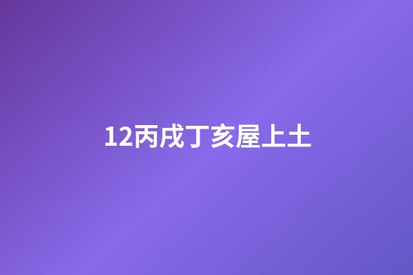 12.丙戌丁亥屋上土