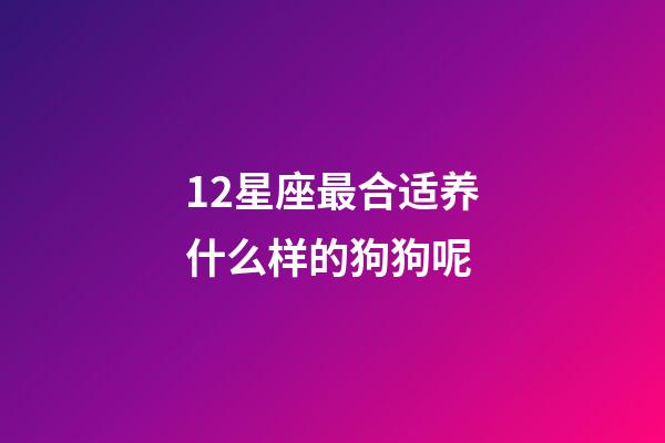 12星座最合适养什么样的狗狗呢-第1张-星座运势-玄机派