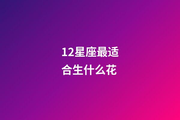 12星座最适合生什么花-第1张-星座运势-玄机派