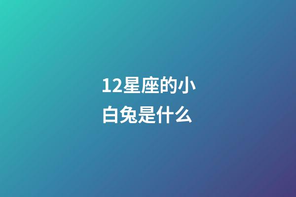 12星座的小白兔是什么-第1张-星座运势-玄机派