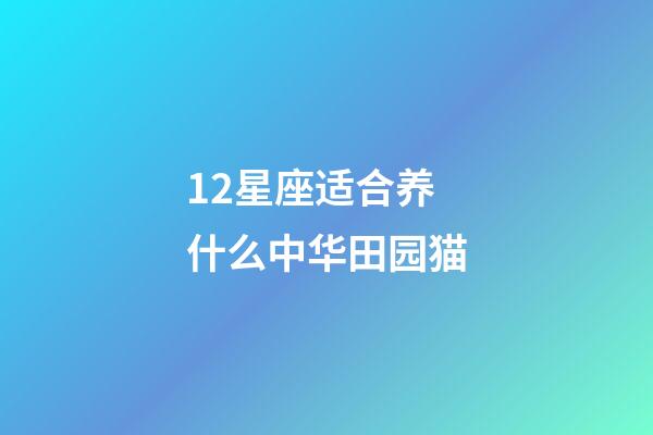 12星座适合养什么中华田园猫-第1张-星座运势-玄机派