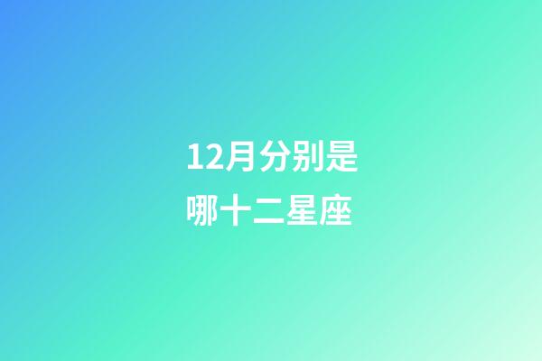 12月分别是哪十二星座-第1张-星座运势-玄机派