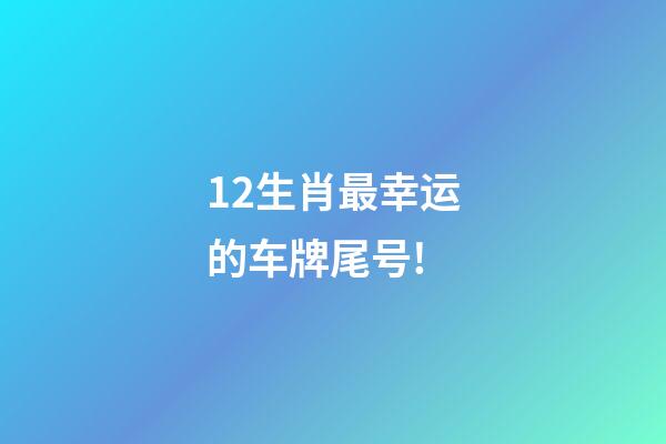 12生肖最幸运的车牌尾号!-第1张-观点-玄机派