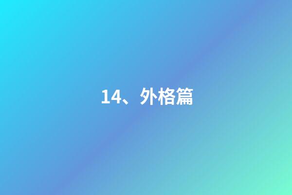 14、外格篇