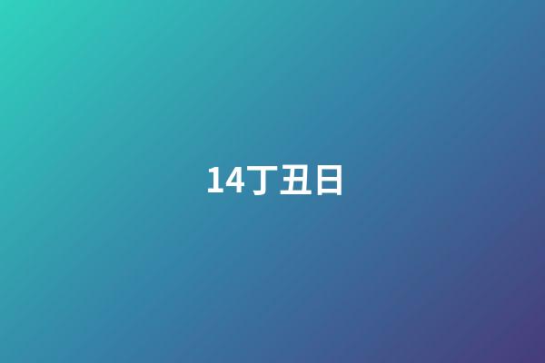 14.丁丑日