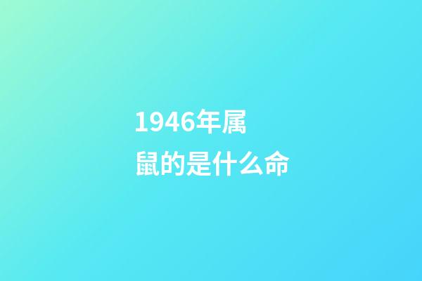 1946年属鼠的是什么命(生肖鼠逐时、逐日、逐年运势 大全)-第1张-观点-玄机派