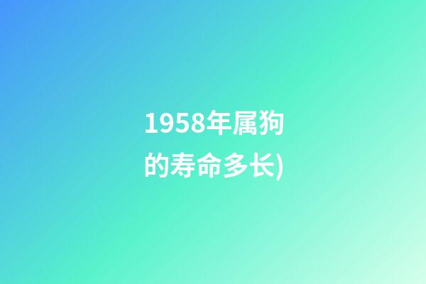 1958年属狗的寿命多长(长寿的基因(2))-第1张-观点-玄机派