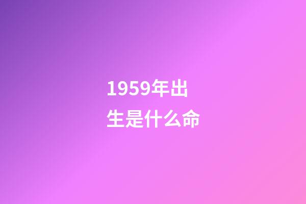 1959年出生是什么命