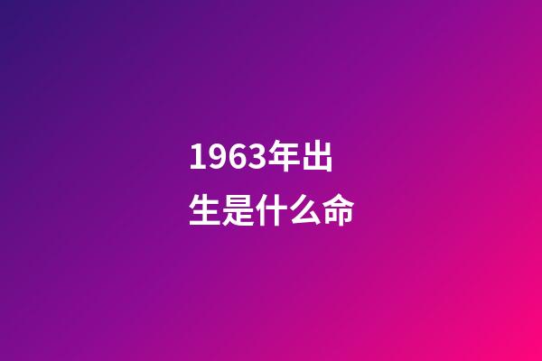 1963年出生是什么命