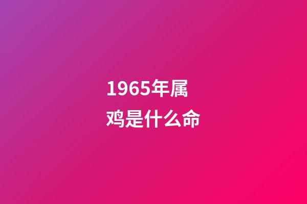 1965年属鸡是什么命(2015年1月十二生肖该堤防哪些相克之人)-第1张-观点-玄机派