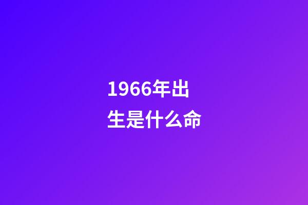 1966年出生是什么命