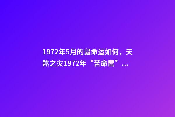 1972年5月的鼠命运如何，天煞之灾1972年“苦命鼠”遇到“麻烦事了”-第1张-观点-玄机派