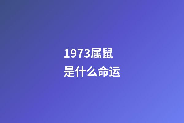 1973属鼠是什么命运(听风观雨系列之二发小篇——命运多舛的红哥2、一路走好)-第1张-观点-玄机派