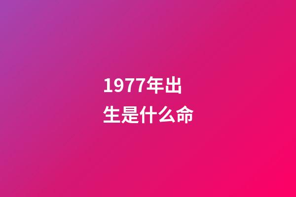 1977年出生是什么命