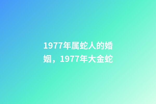 1977年属蛇人的婚姻，1977年大金蛇-第1张-观点-玄机派