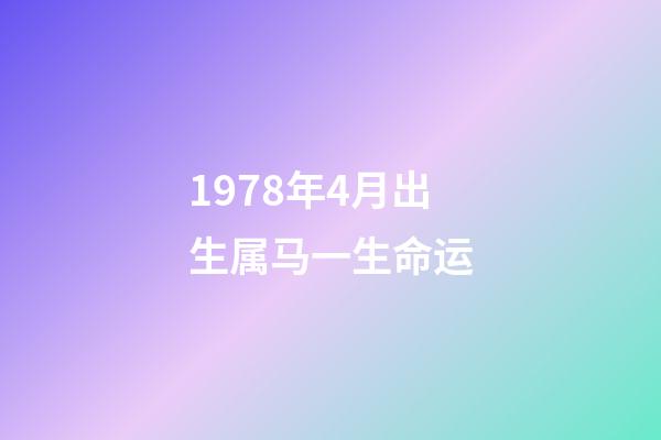 1978年4月出生属马一生命运(生肖马4月需要谨防自己生事)-第1张-观点-玄机派