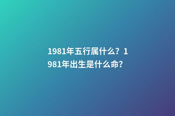 1981年五行属什么？1981年出生是什么命？