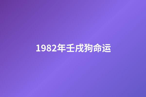 1982年壬戌狗命运(别忘了，它们曾是“老搭档”)