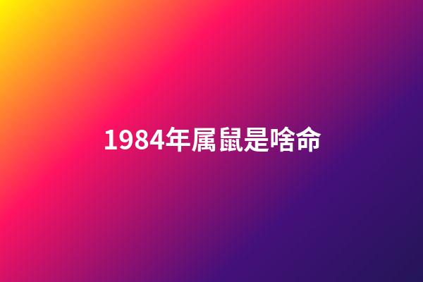 1984年属鼠是啥命(从出生年份看财运，谁一辈子不会缺钱，生活最滋润)-第1张-观点-玄机派