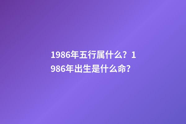 1986年五行属什么？1986年出生是什么命？