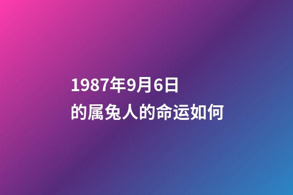 1987年9月6日的属兔人的命运如何(属兔之人：6月4日，吉凶预测，最准!)-第1张-观点-玄机派