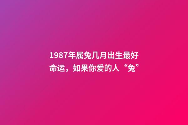 1987年属兔几月出生最好命运，如果你爱的人“兔”-第1张-观点-玄机派