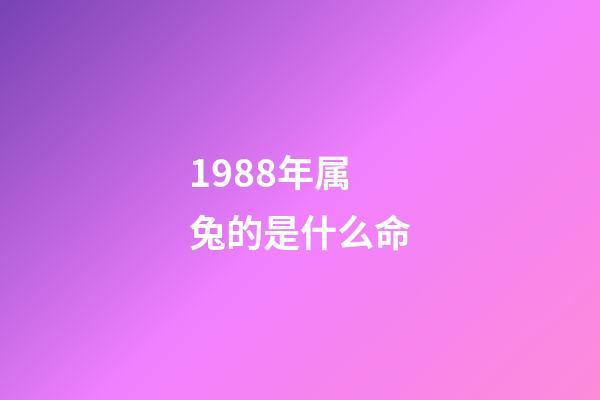 1988年属兔的是什么命(「单身男女」1988年男公务员：有车、房，家庭无负担)-第1张-观点-玄机派