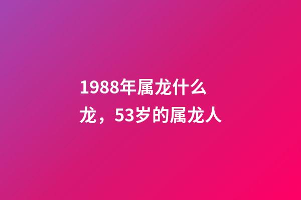 1988年属龙什么龙，53岁的属龙人-第1张-观点-玄机派