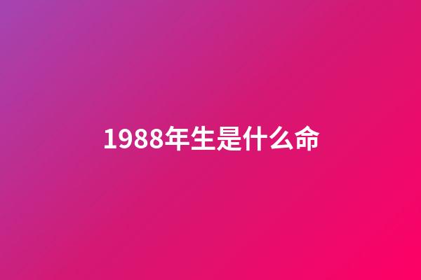 1988年生是什么命