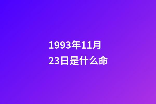 1993年11月23日是什么命(SF9金永斌直言“不打疫苗，我也不会感染”，遭网友围攻后道歉)-第1张-观点-玄机派