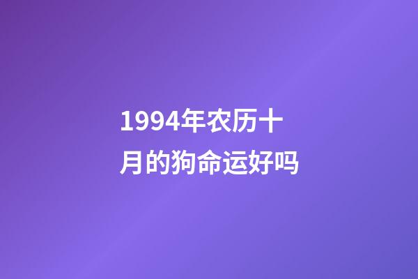 1994年农历十月的狗命运好吗(12生肖女哪年哪月出生最容易嫁给好男人)-第1张-观点-玄机派