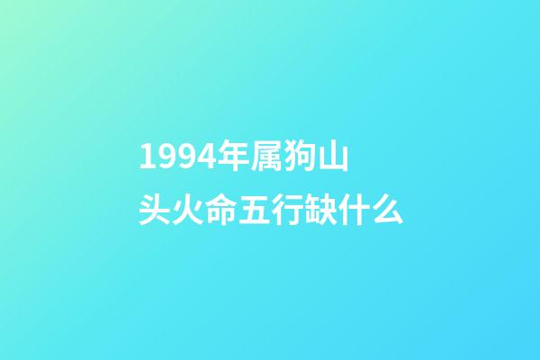 1994年属狗山头火命五行缺什么(生肖狗：2017犯太岁，善于规避也能有所作为)-第1张-观点-玄机派