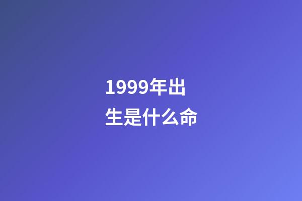 1999年出生是什么命