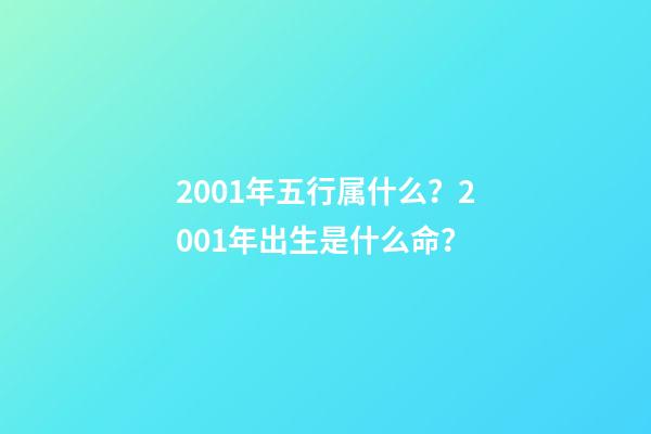 2001年五行属什么？2001年出生是什么命？