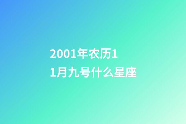 2001年农历11月九号什么星座-第1张-星座运势-玄机派