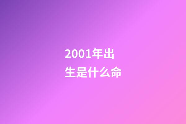 2001年出生是什么命