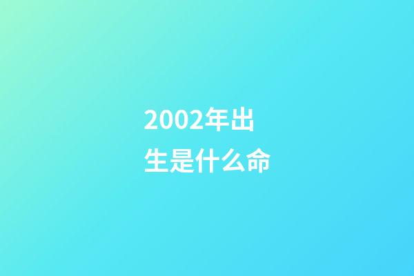 2002年出生是什么命