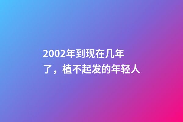 2002年到现在几年了，植不起发的年轻人-第1张-观点-玄机派