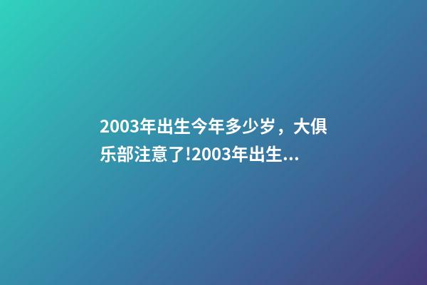 2003年出生今年多少岁，大俱乐部注意了!2003年出生的“丹麦哈兰德是谁-第1张-观点-玄机派