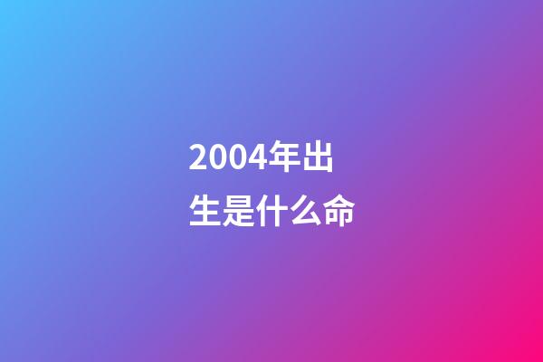 2004年出生是什么命