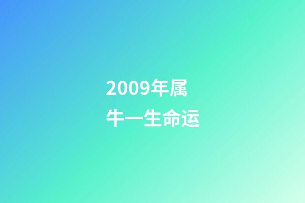 2009年属牛一生命运(生肖牛人的五行与财运)-第1张-观点-玄机派