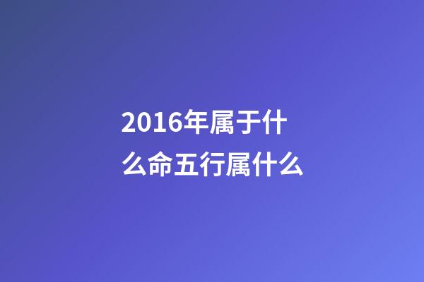 2016年属于什么命五行属什么(猴年必定升官又发财的4大生肖)-第1张-观点-玄机派