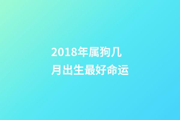 2018年属狗几月出生最好命运(2018年出生的狗宝宝这几个月命最好了，大家快来看看有你家的吗？)-第1张-观点-玄机派