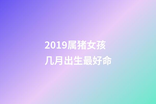 2019属猪女孩几月出生最好命(都说今年猪宝宝有福气，如果还满足四个条件，那就是福上加福)-第1张-观点-玄机派