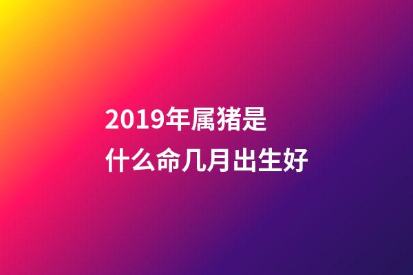 2019年属猪是什么命几月出生好(2019年5月份哪一天出生最好)-第1张-观点-玄机派