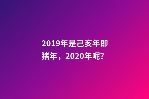 2019年是己亥年即猪年，2020年呢？-第1张-观点-玄机派