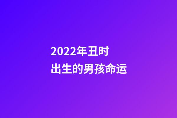 2022年丑时出生的男孩命运(叙诡笔记“传张之洞为猿猴托生”的真相)-第1张-观点-玄机派