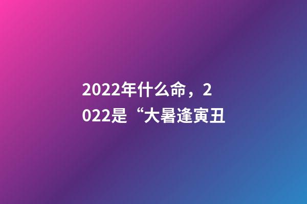 2022年什么命，2022是“大暑逢寅丑-第1张-观点-玄机派